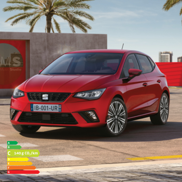 Seat Ibiza en vente à Brive-la-Gaillarde, Tulle, Châteauroux, Montauban, Limoges ...